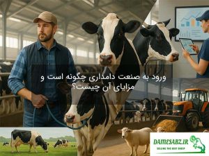 دامداری رسول کاویانی
